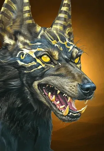 Jackal Portrait